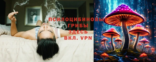 марихуана Абаза