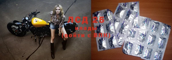 стафф Абинск